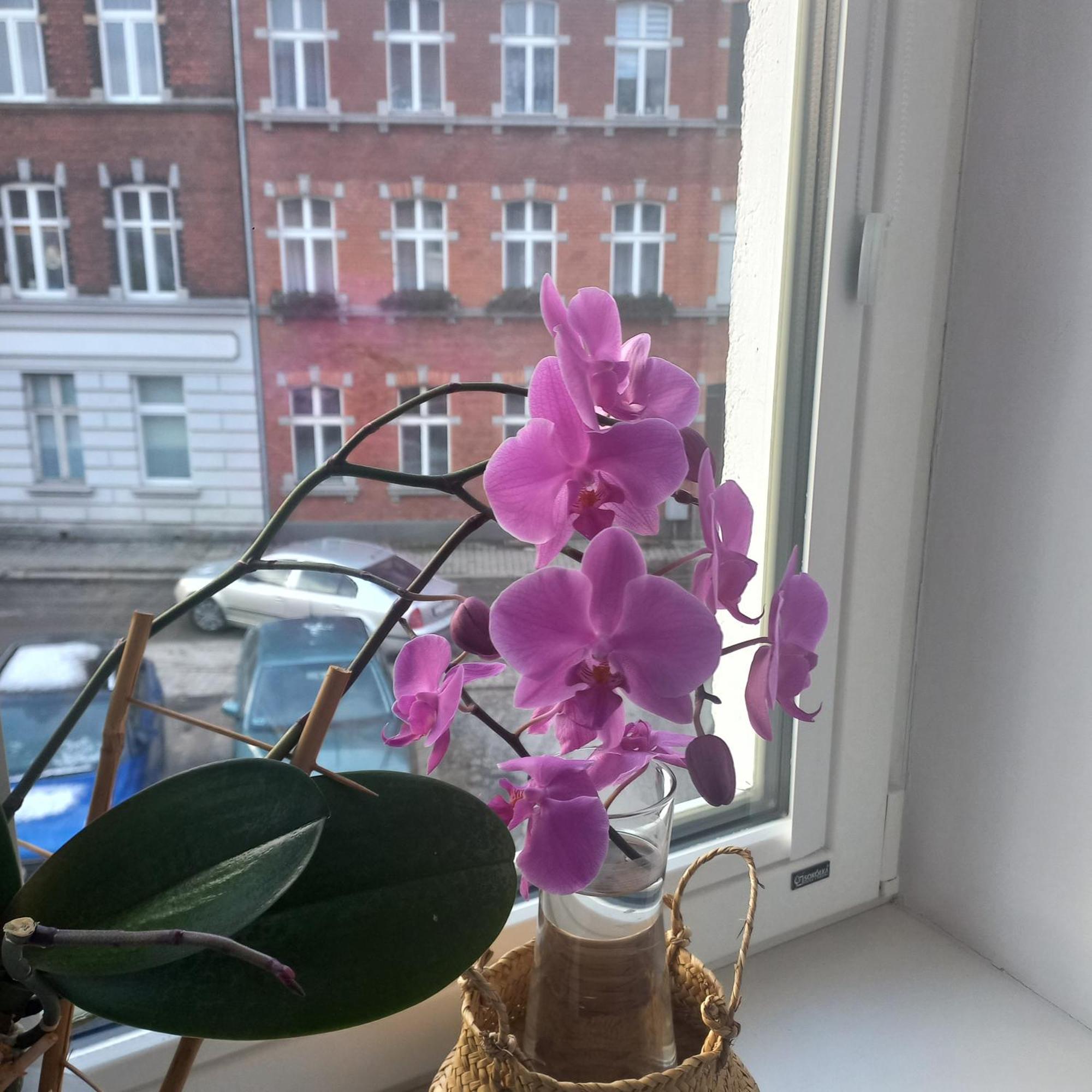 Prowansalski Z Miejscem Parkingowym Huoneisto *